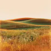 乡野暖风吹 - AI音乐作品封面